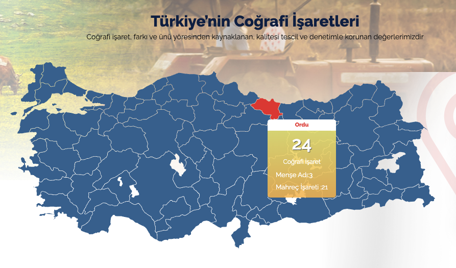 Ordu’nun Tescilli Mirası: Coğrafi İşaretli 24 Eşsiz Lezzet ve Gastronomi Rehberi